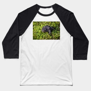 Common Toad - Margam 2012 Baseball T-Shirt